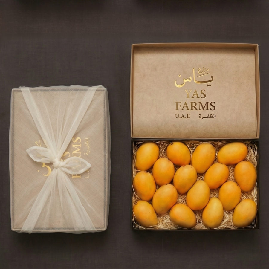 Mango Box